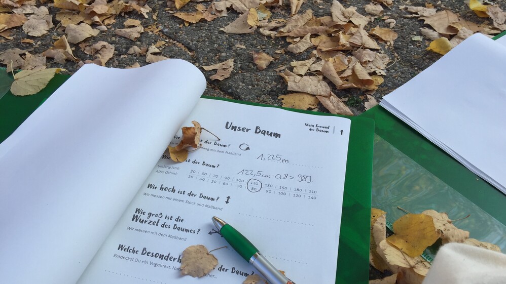 Handbuch aus dem Projekt Mein Freund der Baum.
